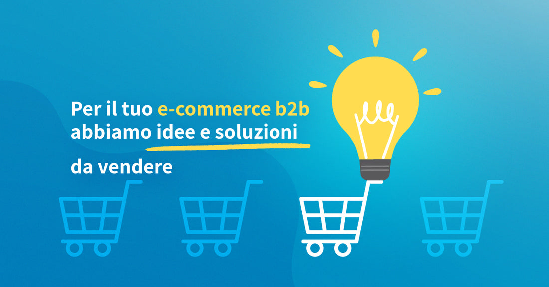 E-commerce b2b: una grande opportunità per far crescere il tuo business.